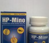 HP-Mino